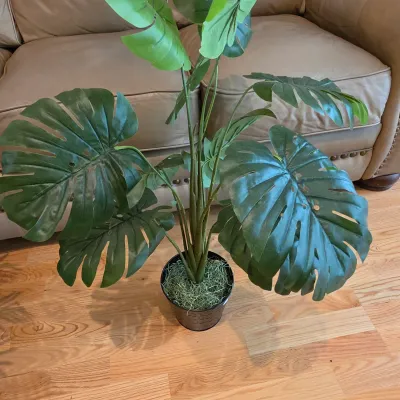 Five Potted Artificial Plants (D-JS)