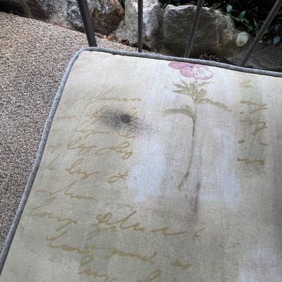 Wrought Iron Patio Chairs (BP-BC)
