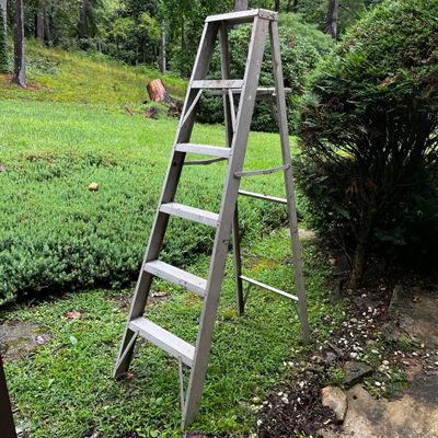 Metal A-Frame & Extension Ladders (S-KA)