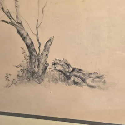 Framed Signed Tree Sketch by Weglewski (LR-JS)