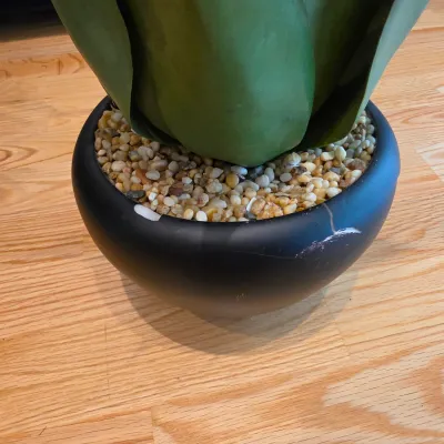 Five Potted Artificial Plants (D-JS)