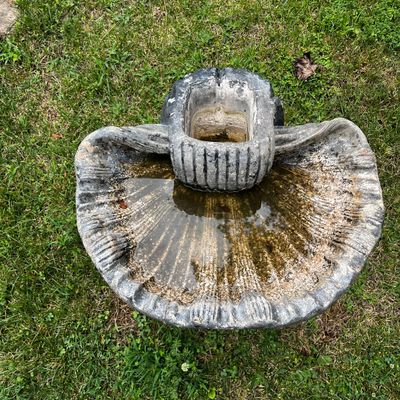 Concrete Clam Shell Bird Bath (BP-KA)