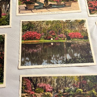 Antique Pictures, Postcards, Recipe Books, & More (DR-SF)