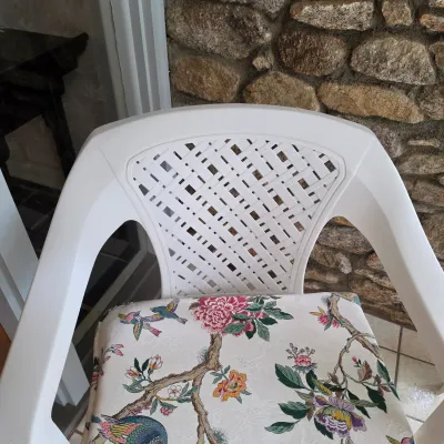 Two Adams Plastic Patio Chairs w/Bird Cushions (FP-JS)