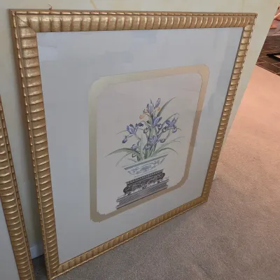 Pair of Framed Botanical Prints (DR-JS)