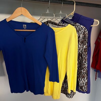 Kim Roger's, Alfred Dunner, St John's Bay & More S-L Ladies Knit Tops (BR1-KA)
