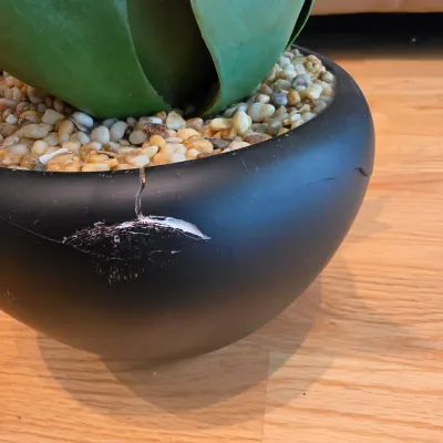 Five Potted Artificial Plants (D-JS)