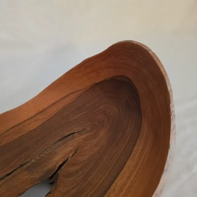 Wilson Arce Mendez Turned Bowl (LR-JS)