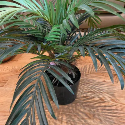 Five Potted Artificial Plants (D-JS)