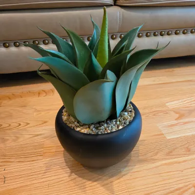 Five Potted Artificial Plants (D-JS)