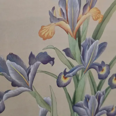 Pair of Framed Botanical Prints (DR-JS)