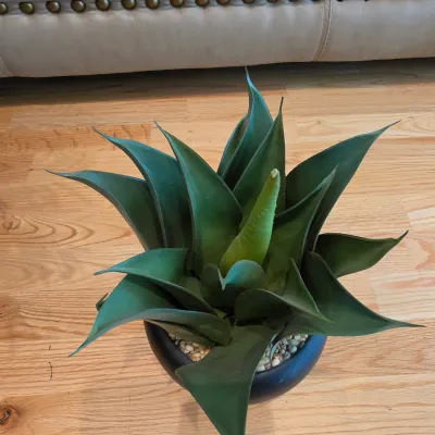 Five Potted Artificial Plants (D-JS)