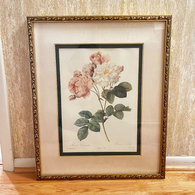Bombay Co. "Rosa Damascena" by Pierre-Joseph Redouté Framed Print (H-KA)
