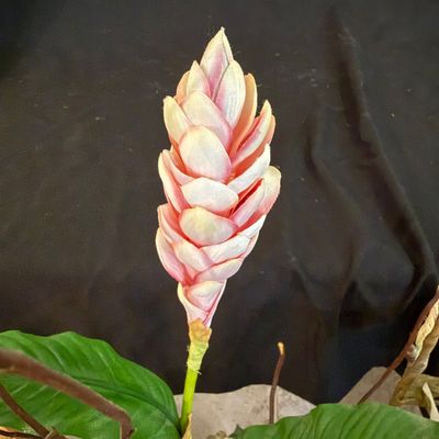 Haegar Ceramic Vase & Assorted Artificial Floral Arrangements (D-SS)
