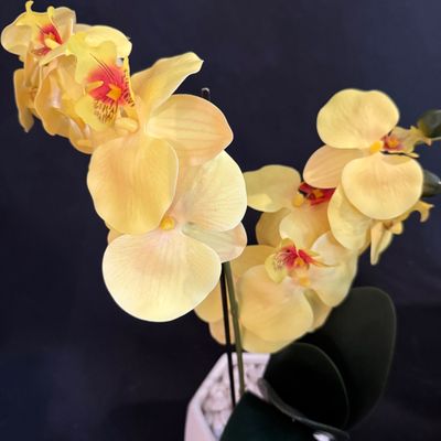 Haegar Ceramic Vase & Assorted Artificial Floral Arrangements (D-SS)