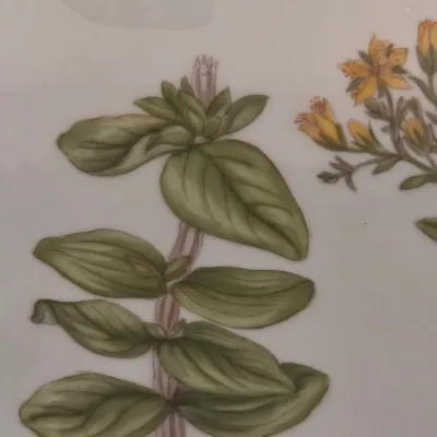 Royal Copenhagen Flora Danica Bowl (LR-JS)