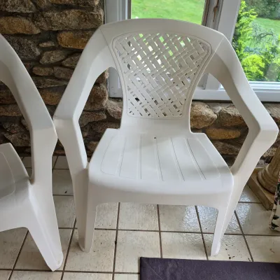 Two Adams Plastic Patio Chairs w/Bird Cushions (FP-JS)