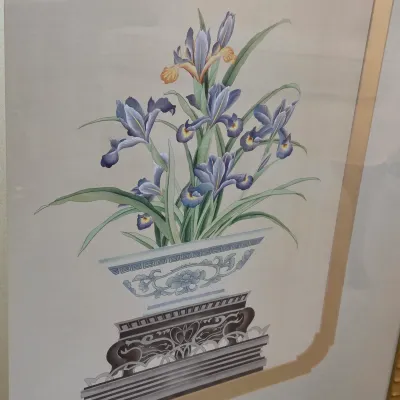 Pair of Framed Botanical Prints (DR-JS)