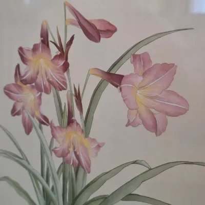 Pair of Framed Botanical Prints (DR-JS)