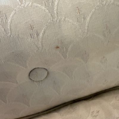 Two Tufted Back Upholstered Armchairs (BR2- BC)