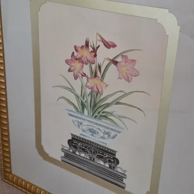 Pair of Framed Botanical Prints (DR-JS)