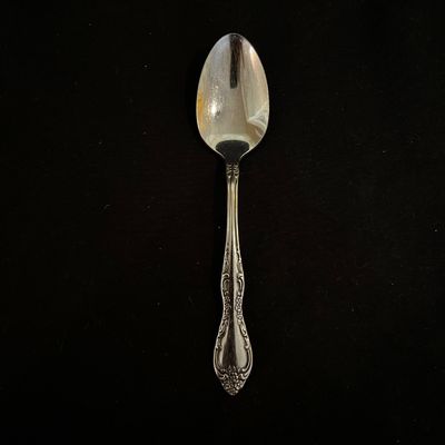 Oneida Bourbon & Kennet Square Stainless Flatware (K-KA)