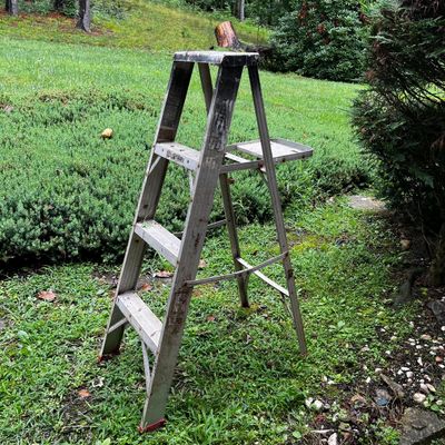 Metal A-Frame & Extension Ladders (S-KA)