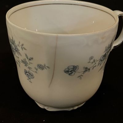 Johann Haviland 25+ Piece "Blue Garland" Set (K-KA)