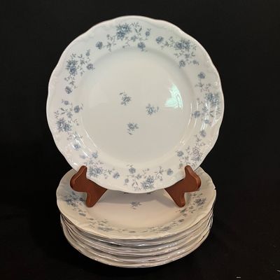 Johann Haviland 25+ Piece "Blue Garland" Set (K-KA)