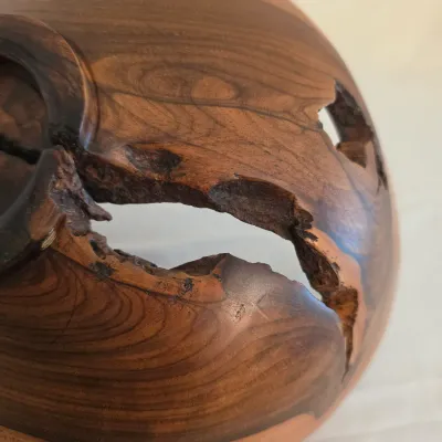 Wilson Arce Mendez Turned Bowl (LR-JS)