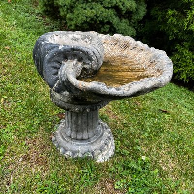 Concrete Clam Shell Bird Bath (BP-KA)