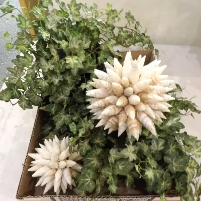 Decor