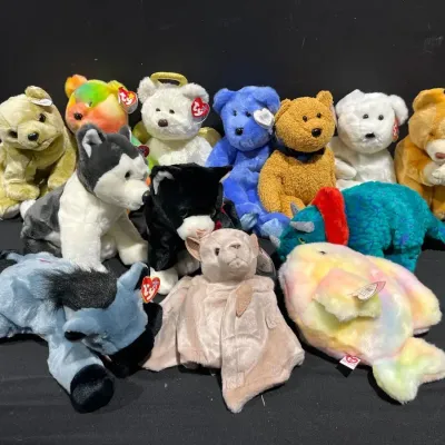 Beanie Baby Mystery Lot #7 (Large Size Beanies)
