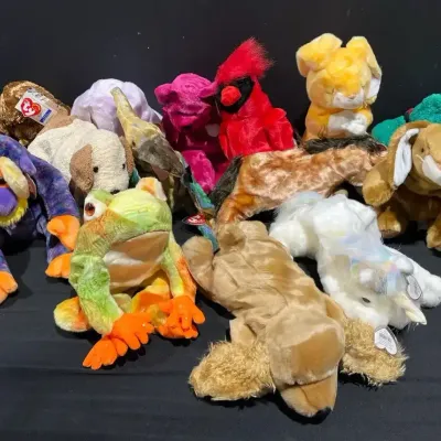 Beanie Baby Mystery Lot #1 (Large Size Beanies)
