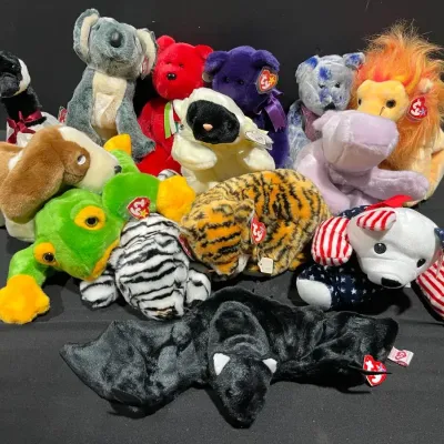 Beanie Baby Mystery Lot #5 (Large Size Beanies)