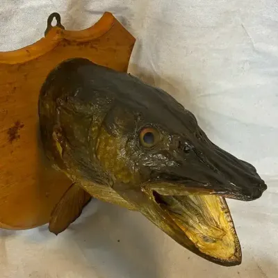 Vntg 1950s Record Muskie Mount 