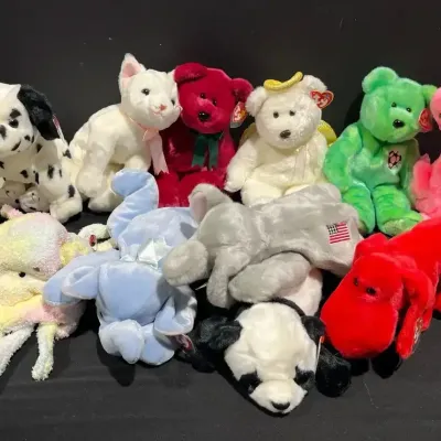 Beanie Baby Mystery Lot #6 (Large Size Beanies)