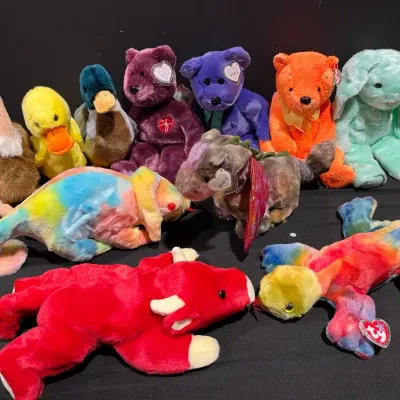 Beanie Baby Mystery Lot #9 (Large Size Beanies)