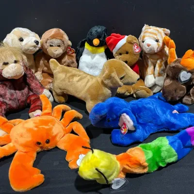 Beanie Baby Mystery Lot #3 (Large Size Beanies)