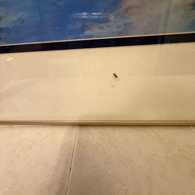 Signed “Reflections” Print by V. Punkhiser (LR-BC)