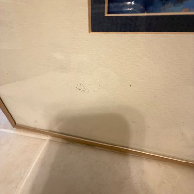 Signed “Reflections” Print by V. Punkhiser (LR-BC)