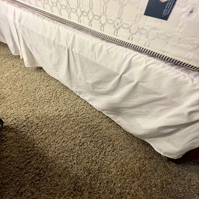 Queen Sized Madison Park Bedding & More (P-RG)