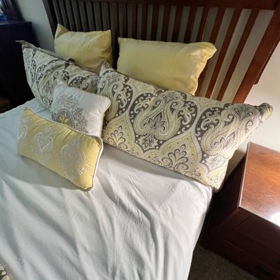 Queen Sized Madison Park Bedding & More (P-RG)