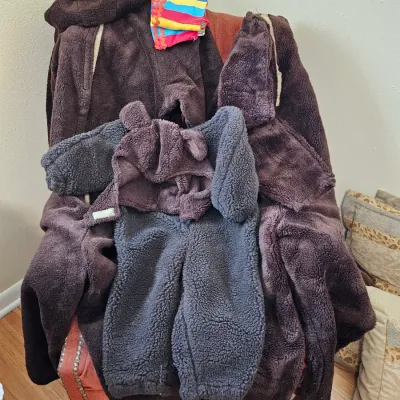 3 Bears costumes