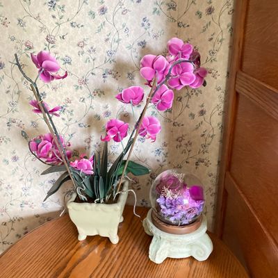 LOT 95: Home Decor - Faux Orchid Plant, Cloches, Hanging Plant Holders, Flower Frog and More