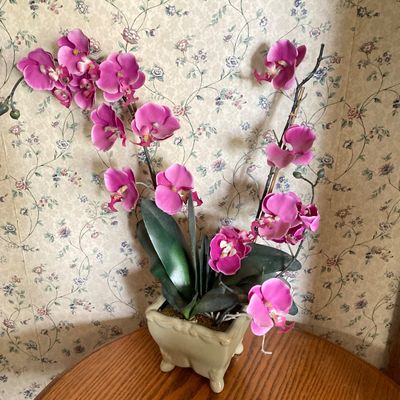LOT 95: Home Decor - Faux Orchid Plant, Cloches, Hanging Plant Holders, Flower Frog and More
