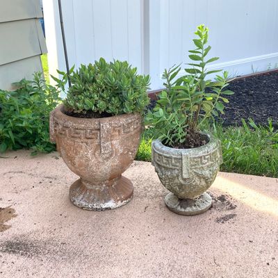LOT 75: Pair of Greek Key Style Concrete Planters with Plants and Floral Spinner