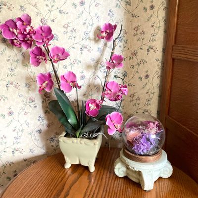 LOT 95: Home Decor - Faux Orchid Plant, Cloches, Hanging Plant Holders, Flower Frog and More