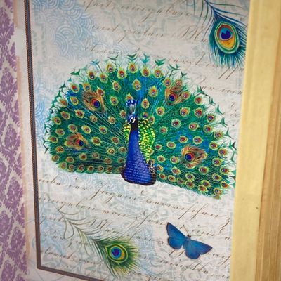 LOT 102: The Peacock Collection - Assorted Peacock Decor (Tracy Porter Serving Plate, Napkin Holder, Coalport Tea Cup / Saucer) and More