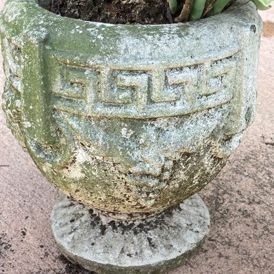 LOT 75: Pair of Greek Key Style Concrete Planters with Plants and Floral Spinner